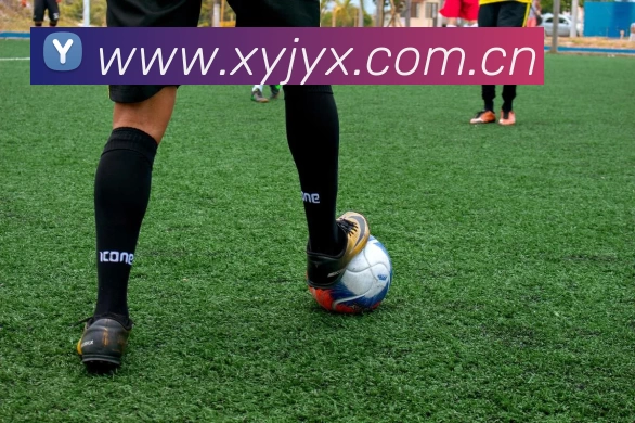 NBA俄罗斯赛区直播回放技术升级 提升球迷观赛体验与赛事影响